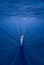 Load image into Gallery viewer, Blackfin